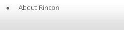 Text Box: About Rincon