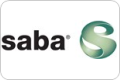 Saba Solutions Partner