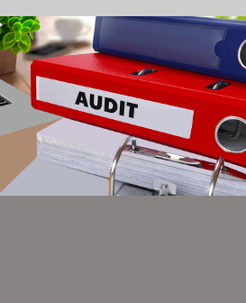 Fixed Asset Audit